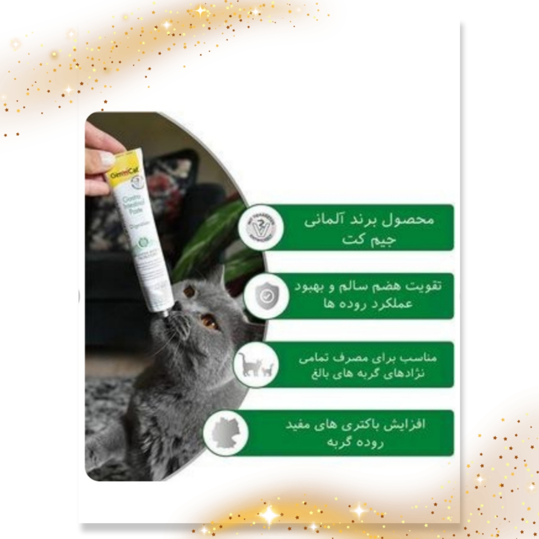 خمیرمالت گربه گاسترو اینتستینال جیم کت(۵۰گرم)